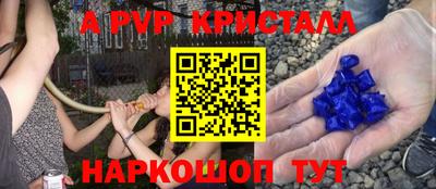 гашик Малоярославец