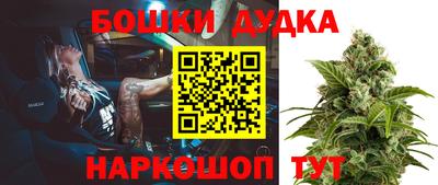 гашик Малоярославец